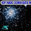 Cl* NGC 2203    GCS       9