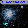 Cl* NGC 2203    GCS      11
