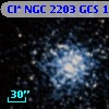 Cl* NGC 2203    GCS      13
