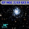 Cl* NGC 2213    GCS       8