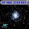 Cl* NGC 2213    GCS      10