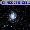 Cl* NGC 2213    GCS      11