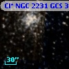 Cl* NGC 2231    GCS       3