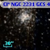 Cl* NGC 2231    GCS       4