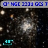 Cl* NGC 2231    GCS       7