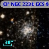Cl* NGC 2231    GCS       8
