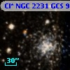 Cl* NGC 2231    GCS       9