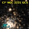 Cl* NGC 2231    GCS      10