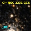 Cl* NGC 2231    GCS      11