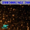 [SWB2008] NGC 2808 66