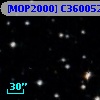 [MOP2000] C3600525