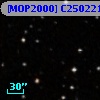 [MOP2000] C2502210