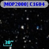 [MOP2000] C1604