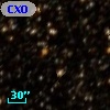 CXOU J164943.9-495901