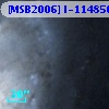 [MSB2006] I-114856