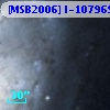 [MSB2006] I-107969