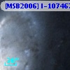 [MSB2006] I-107467