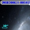 [MSB2006] I-005859