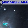 [MSB2006] I-134078
