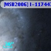 [MSB2006] I-117447