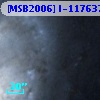 [MSB2006] I-117637
