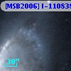 [MSB2006] I-110838