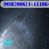 [MSB2006] I-111064