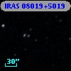 IRAS 08019+5019