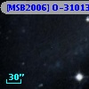 [MSB2006] O-31013
