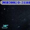 [MSB2006] O-21160