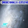 [MSB2006] I-175749
