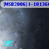 [MSB2006] I-101366