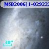 [MSB2006] I-029222