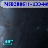 [MSB2006] I-133448