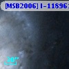 [MSB2006] I-118961