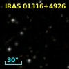 IRAS 01316+4926