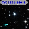 TYC 3621-160-1