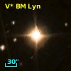 V* BM Lyn