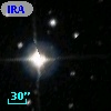 IRAS 07407+4529