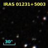 IRAS 01231+5003