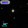 SDSS-C4 3116