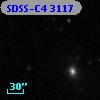 SDSS-C4 3117