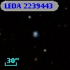 LEDA 2239443