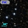 TYC  466-1913-1