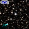 TYC  464-384-1