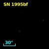 SN 1995bf