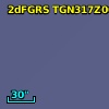 2dFGRS TGN317Z004