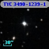 TYC 3490-1239-1