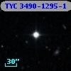 TYC 3490-1295-1