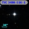 TYC 3490-516-1